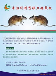杀鼠用品产品列表第31页 粘鼠板选型指南与高效使用技巧