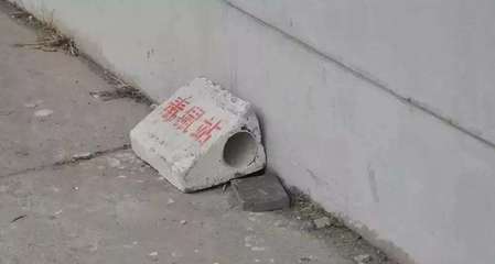 非瘟背景下，猪场鼠、鸟患不可忽视！粘鼠板为何是防控利器？